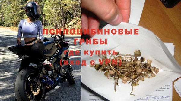 гидропоника Бородино