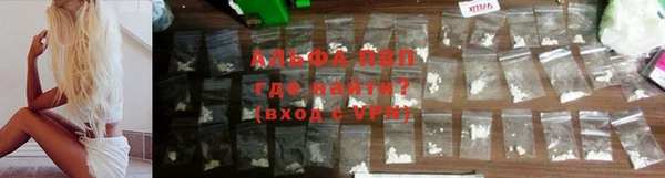 гидропоника Бородино