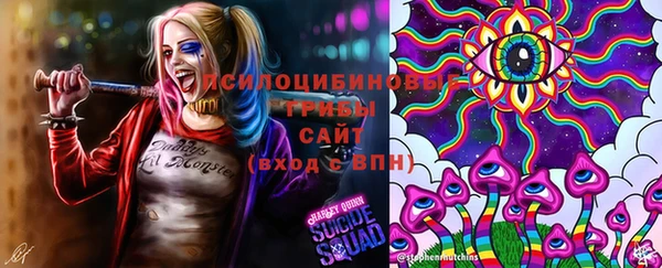 твердый Бронницы