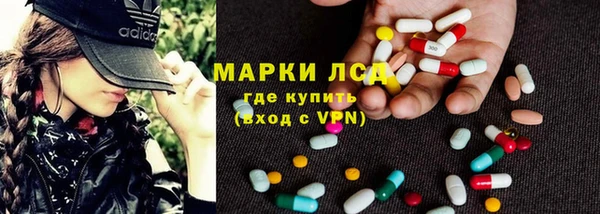 гидропоника Бородино