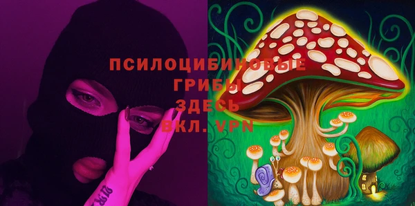 гидропоника Бородино