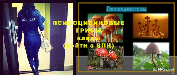 твердый Бронницы
