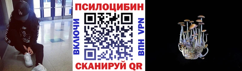 где купить   площадка официальный сайт  omg ссылка  Псилоцибиновые грибы Psilocybe  Шенкурск 
