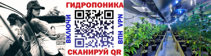 Канабис ГИДРОПОН  сколько стоит  Шенкурск 